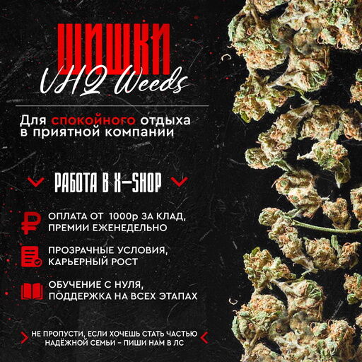 🍀 Ароматные Шишки ✦