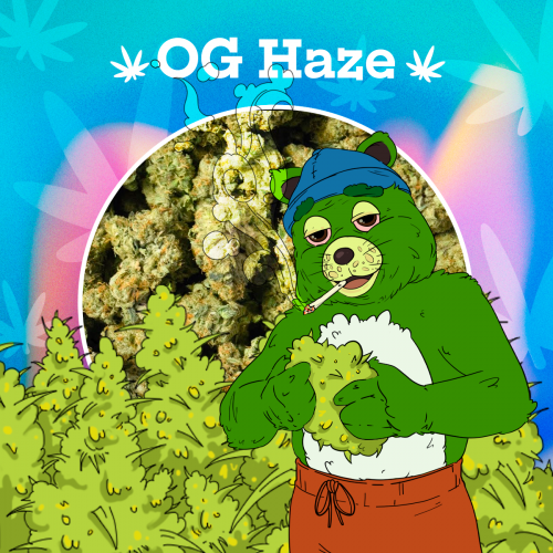 OG Haze