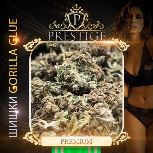 БОШКИ GORILLA GLUE