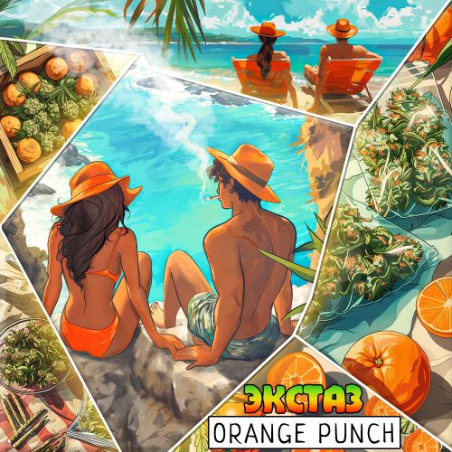 Бошка Orange Punch