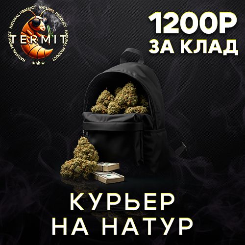 КУРЬЕР НА БОШКИ