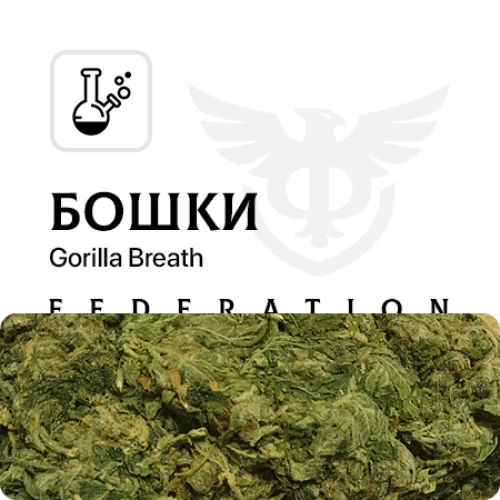 Бошки [Gorilla Br.]