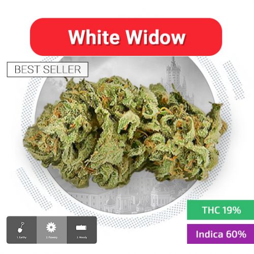 White Widow